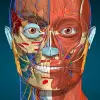 تطبيق Anatomy Learning - 3D Anatomy برو