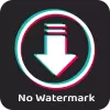 No Watermark Video Downloader pro