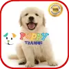 Puppy Training pro