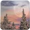 Snowfall Free Live Wallpaper pro