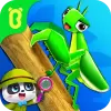 لعبة عالم حشرات صغير الباندا apk مهكر