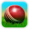 لعبة Cricket 3D apk مهكر