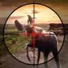 لعبة Deer Hunting Covert Sniper Hun apk مهكر