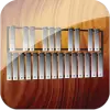 Professional Xylophone pro
