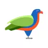 تطبيق Pluma: private  fast browser برو