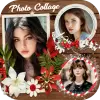 تطبيق إطار الصورة ، صور ملصقة برو