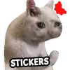 تطبيق مضحك ملصقات القط WASticker برو