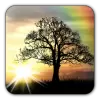 تطبيق Sun Rise Free Live Wallpaper برو