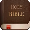 1611 King James Bible, KJV pro