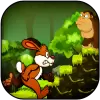 لعبة Jungle Bunny Run apk مهكر
