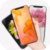 تطبيق مغير خلفيات السيارات اليومية برو