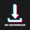 Download video no watermark pro