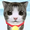 Cat Simulator apk mod