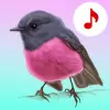 Bird Songs: Ringtones pro