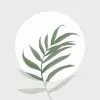 تطبيق Blossom - التعرف على النبات برو