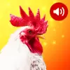 تطبيق أصوات الحيوانات برو