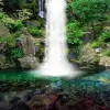 تطبيق Waterfall Live Wallpaper برو