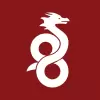 تطبيق WireGuard برو