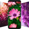 تطبيق 10000+ Flower Wallpapers برو