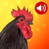 Animal Sounds pro