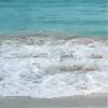 تطبيق محيط حقيقي خلفية متحركة برو