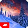 تطبيق Winter Wallpapers 4K برو