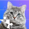 لعبة Jigsaw Puzzles - Relaxing Game apk مهكر