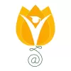 تطبيق Next Learning Platform برو