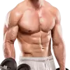 تطبيق Pro Home Workouts – No Equipme برو