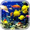 Real Aquarium Live Wallpaper pro