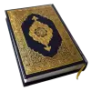 تطبيق HOLY QURAN (القرآن الكريم) برو