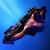 تطبيق Asteroid برو