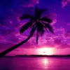 تطبيق HD Wallpapers - Offline برو