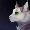 لعبة Message of Stars apk مهكر