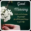 تطبيق Inspiring Good Morning Quotes برو