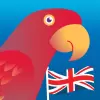 تطبيق Speak English! برو