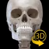 تطبيق Skeleton | 3D Anatomy برو