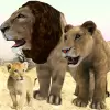 لعبة Lion Family Simulator apk مهكر
