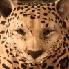 لعبة Ultimate Leopard Simulator apk مهكر