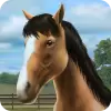 لعبة My Horse apk مهكر