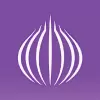 TOR Browser: OrNET Onion Web pro