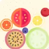 لعبة لعبة البطيخ apk مهكر