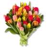 تطبيق Flowers Stickers for Whatsapp برو