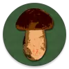 تطبيق Book of Mushrooms برو