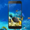 تطبيق 4K Wallpaper 4K خلفيات للاندرويد