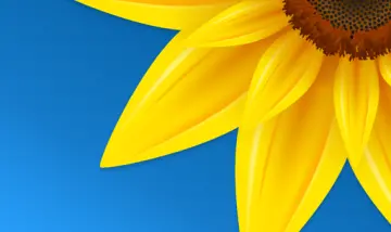 تطبيق معرض الصور - صور فيديو احترافي